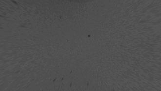Panzoid