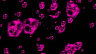 Panzoid
