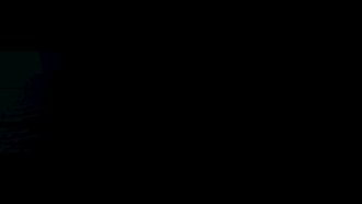 Panzoid
