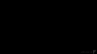 Panzoid